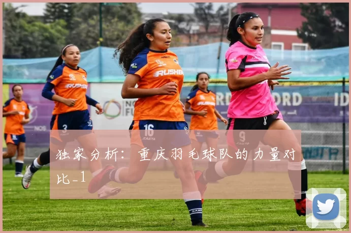 独家分析：重庆羽毛球队的力量对比_1
