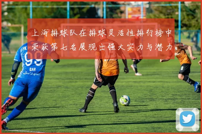 上海排球队在排球灵活性排行榜中荣获第七名展现出强大实力与潜力